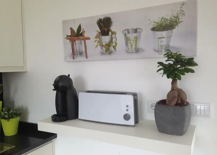 Casa de Férias Bem Vindo Cela Velha